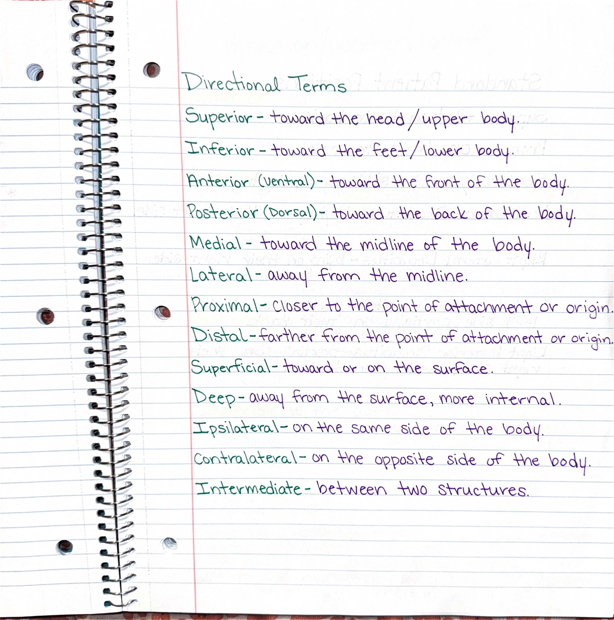 Midterm Exam Study Guide: Anatomy & Directional Terms (Mod 1-5) - Studocu