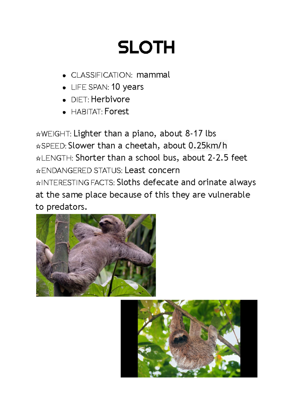 Sloth 2.0 - Documents de Google - Inglés - SLOTH CLASSIFICATION: mammal ...