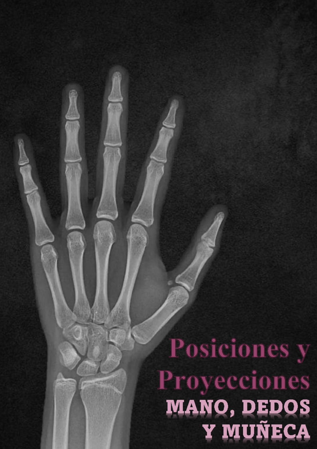 🖐🏼 ¿Sabías que tu mano tiene 27 huesos y más de 30 músculos trabajando en  cada movimiento?⬇️👩🏻\u200d⚕️ La mano es una de las estructuras más complejas  del cuerpo humano, permitiéndonos escribir, sostener,, image size:1200x1696