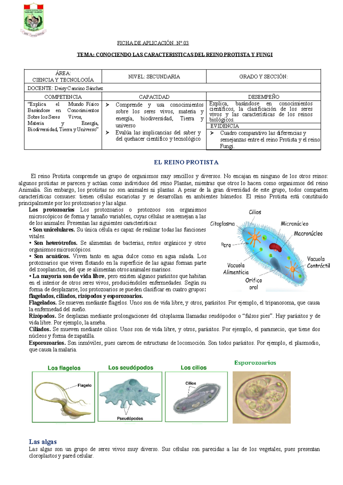 Ficha de Aprendizaje 3: El Reino Protista y Fungi - 1er Grado, Unidad 4 -  Studocu