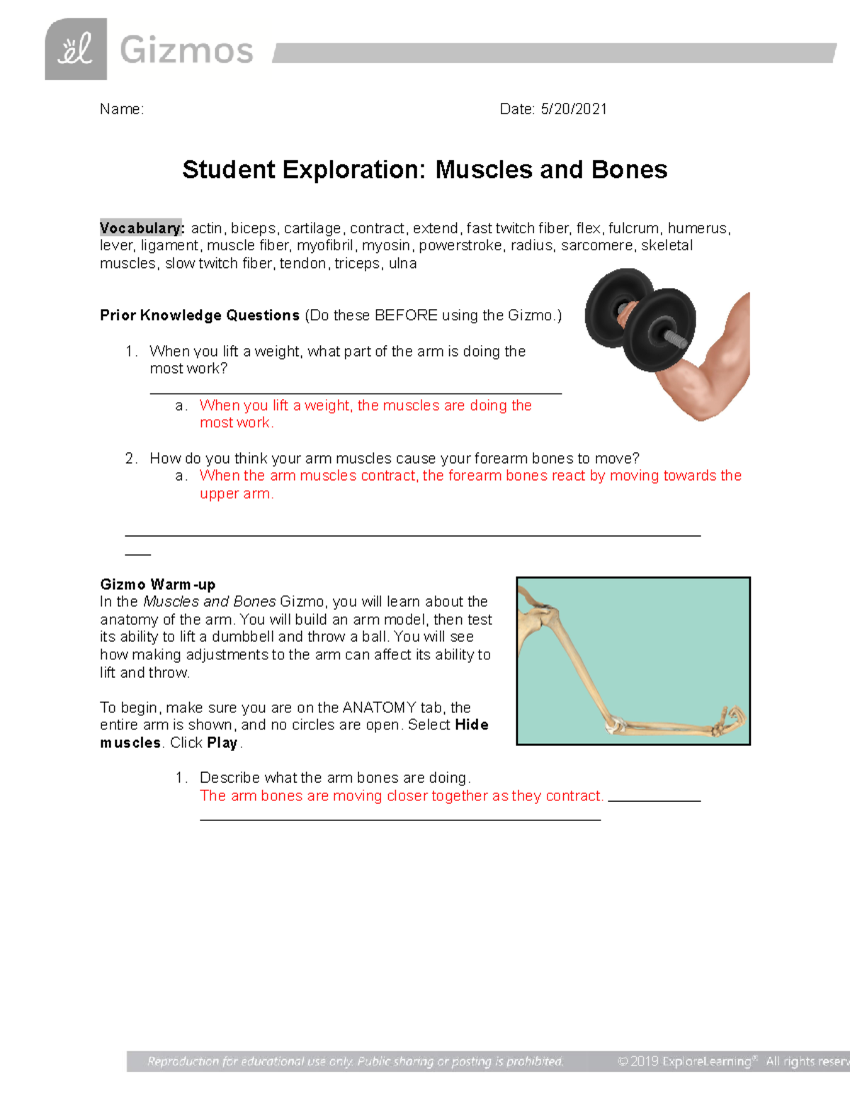 Muscles Bonesgizmo-1 - Name: Date: 5/20/ Student Exploration: Muscles ...