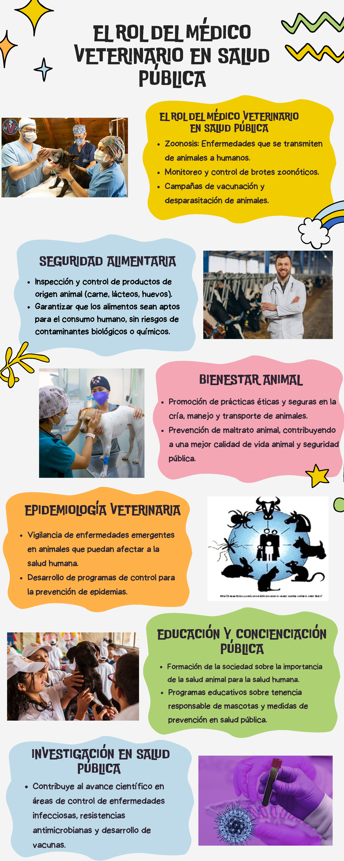 El Médico Veterinario y su Rol Fundamental en Salud Pública - Studocu