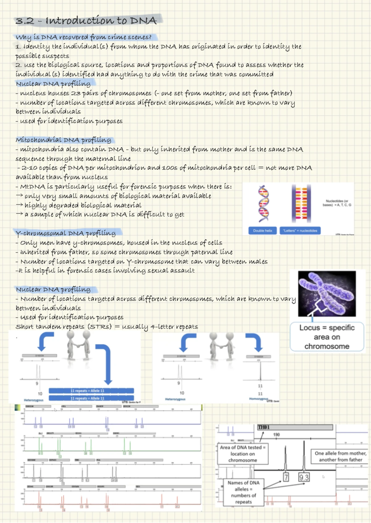 CSI 2.2 Sketching the Scene: Techniques and Best Practices - Studocu