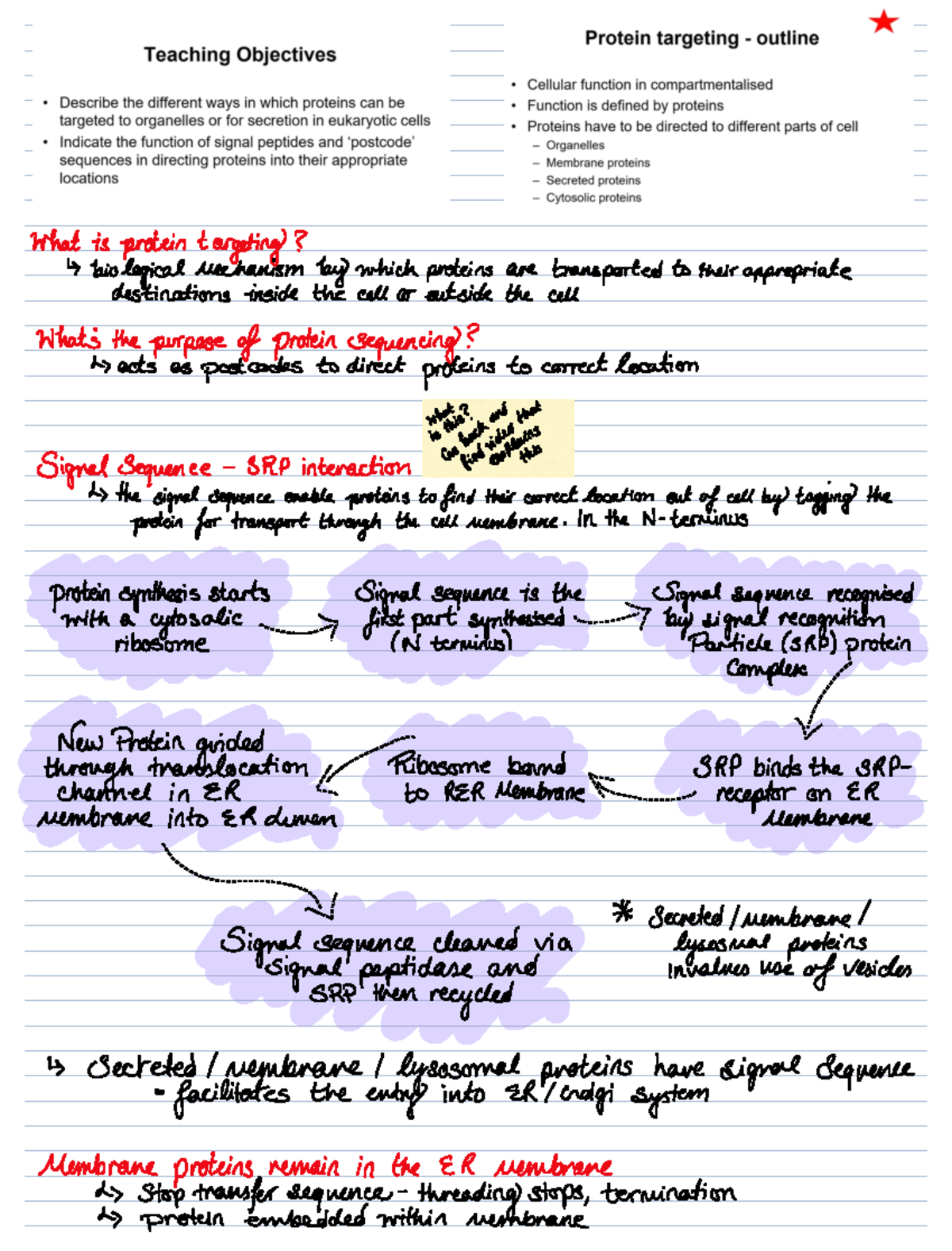 Protein targeting - what is protein targeting biological mechanism by ...