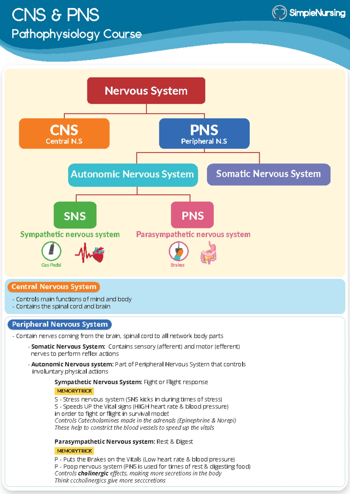 Nursing Lecture: TPN Med Surg GI Pathophysiology & Care Tips - Studocu