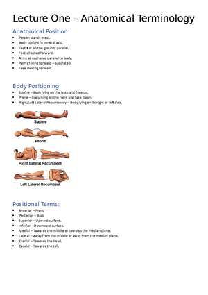 Basic Human Anatomy - lesson 4 skeletal system - Basic Human Anatomy ...