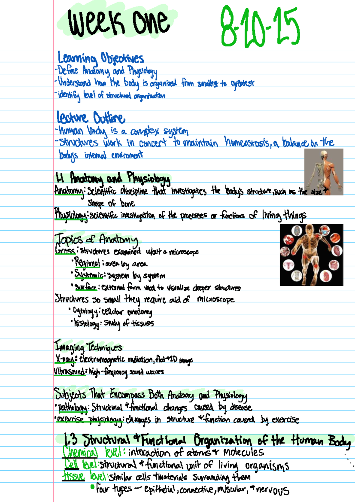 Anatomy and Physiology Overview Lecture Notes (BIO101) - Studocu