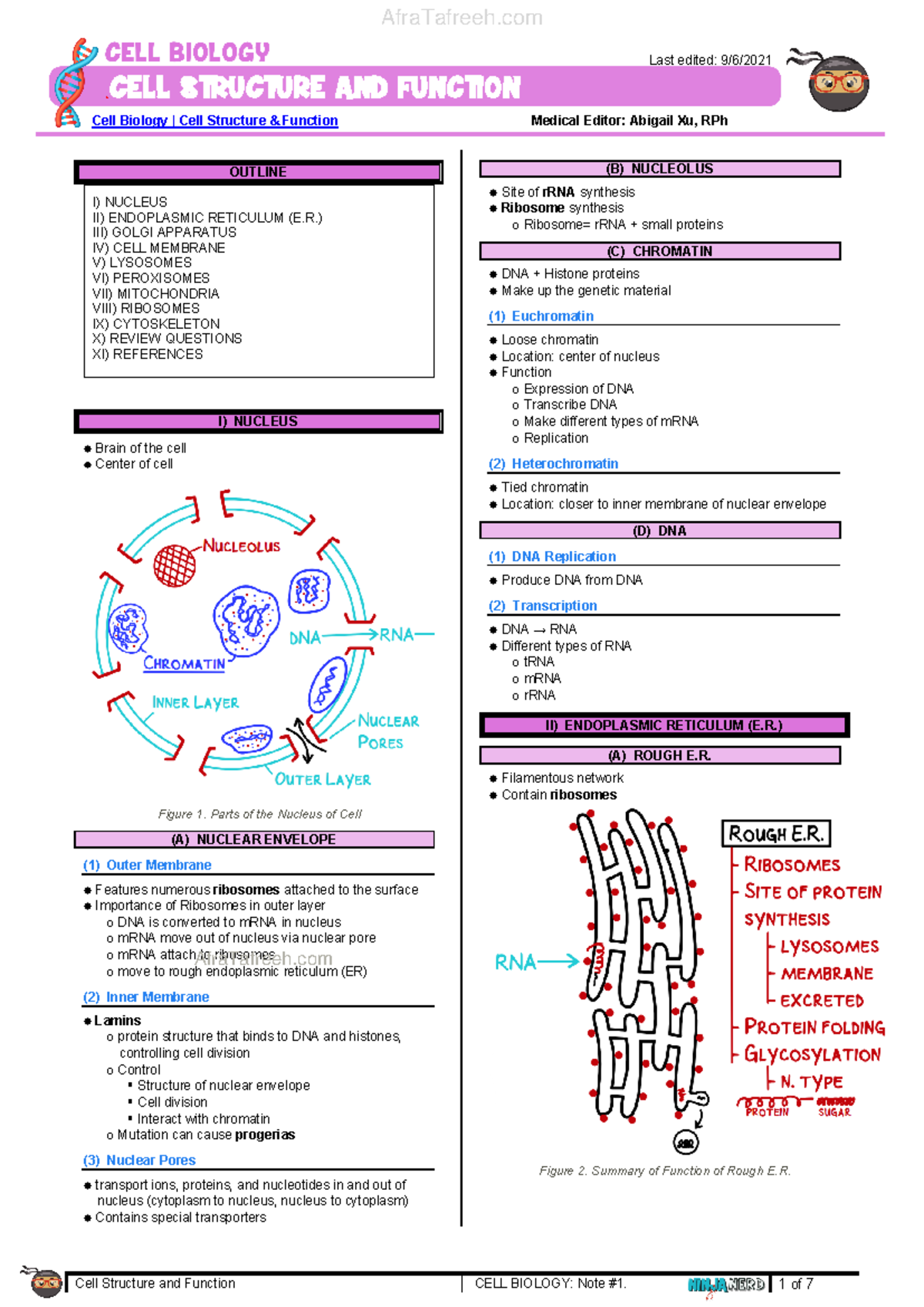 Cell Structure & Function (2) atf - Cell Structure and Function CELL ...