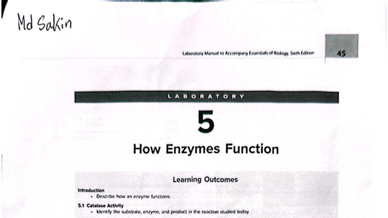 BIO 011 Lab 5: How Enzymes Function - A Comprehensive Guide - Studocu