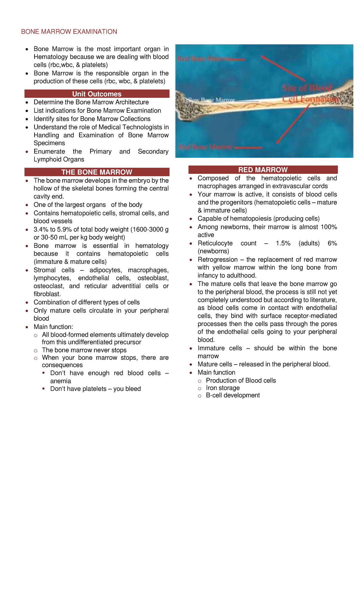 BM Exam-Hematology - might help - BONE MARROW EXAMINATION Bone Marrow ...