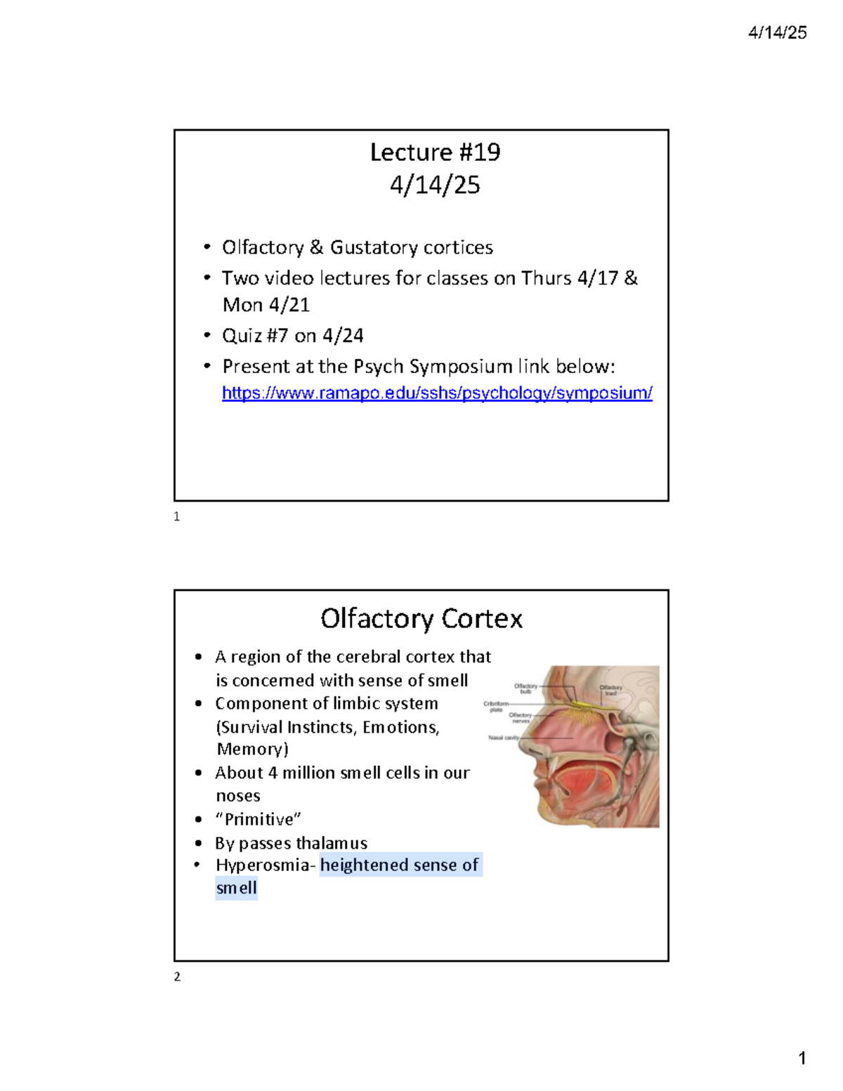 Lecture #19: Olfactory and Gustatory Cortex Functions and Tests ...