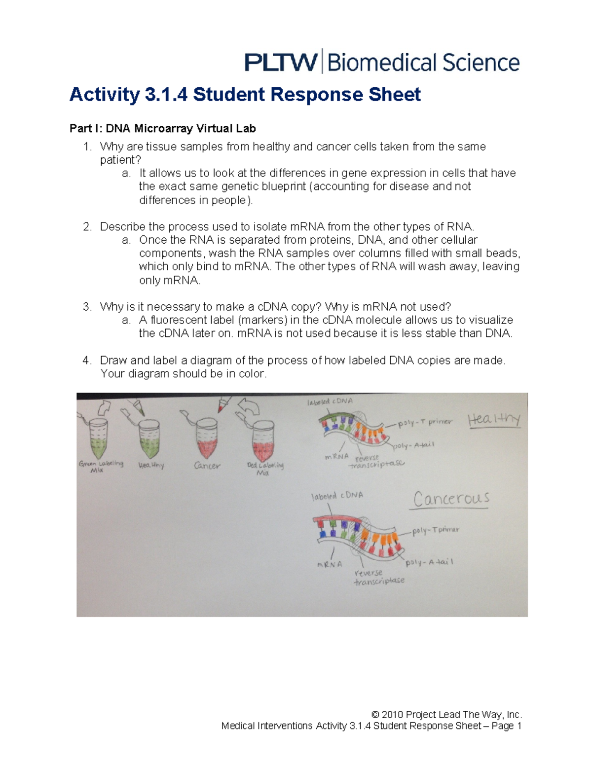 Activity 3.1.4 Student Response Sheet: DNA Microarray Lab Insights ...