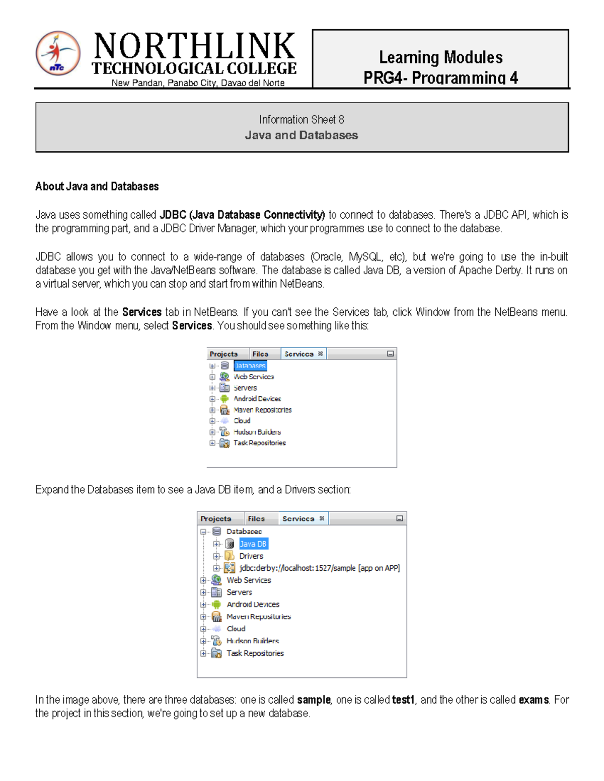 C - GUI CODING LANGUAGES: Programming 4 Info Sheet on Java & Databases ...