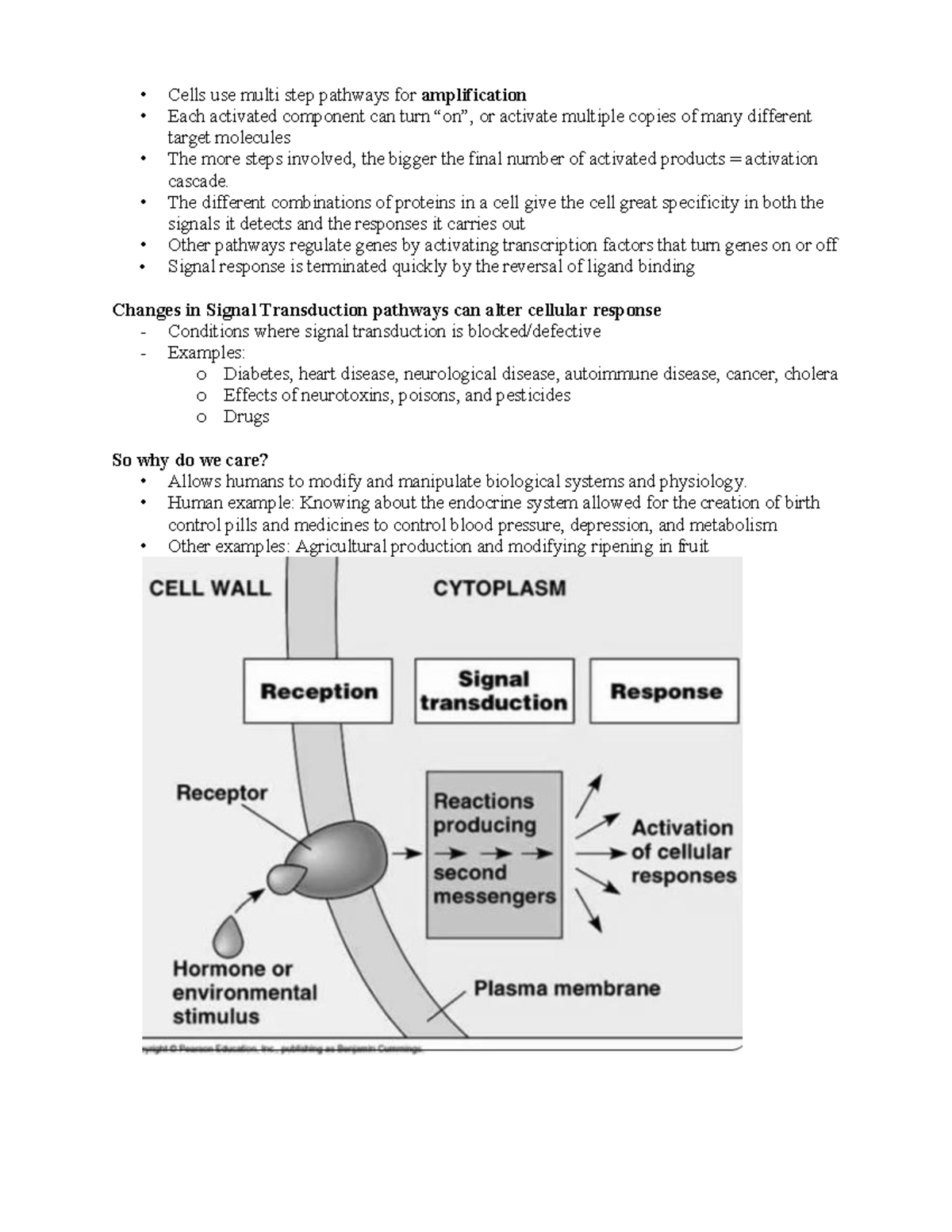 Cell Communication Notes p3 - Cells use multi step pathways for ...