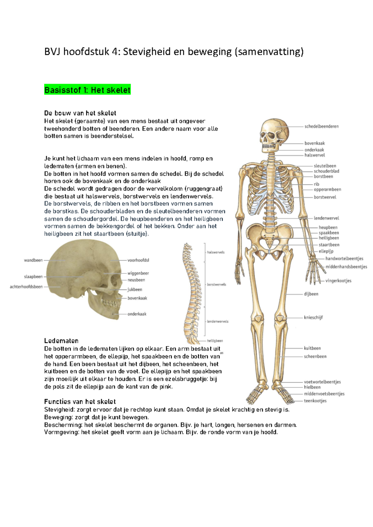 Biologie VWO Thema 4 & 5: Skelet, Spieren en Blessures Samenvatting ...