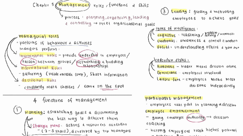 Chapter 5: Management Roles, Functions, and Skills Overview - BOM C5 ...