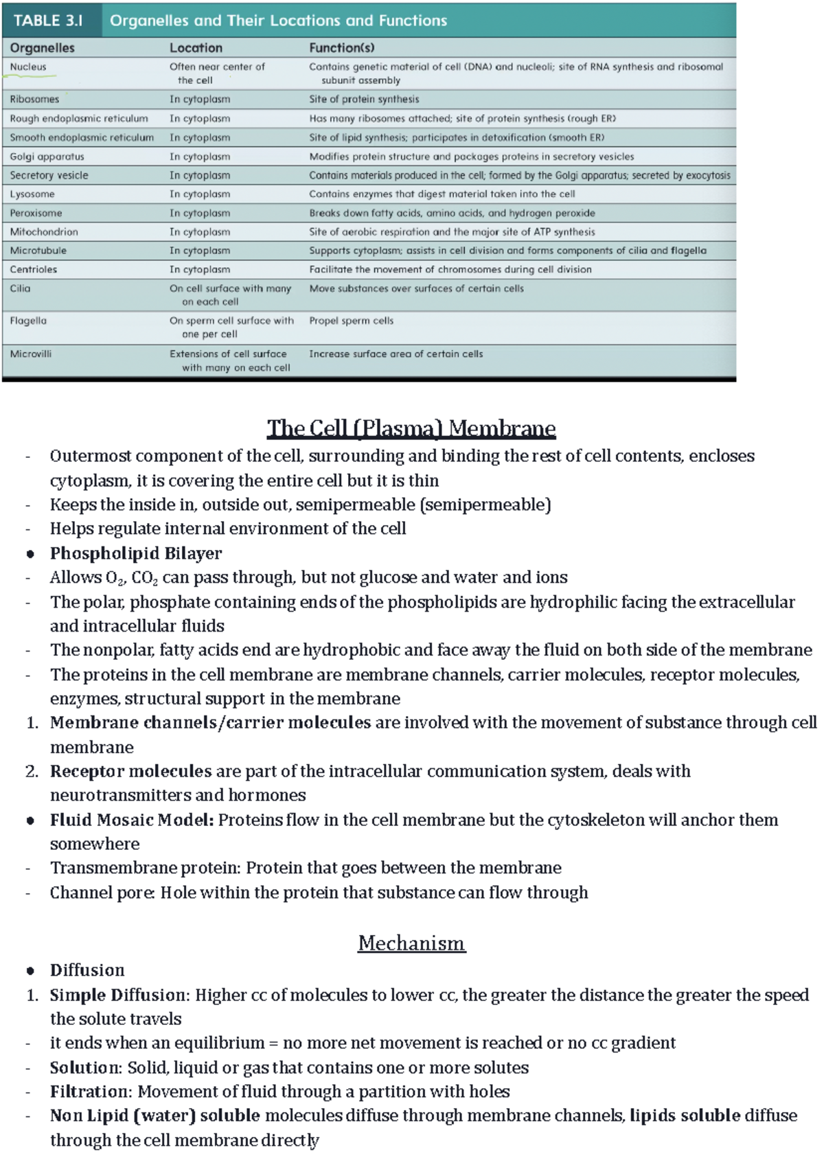 ES 207 Final Exam Lecture Notes: The Cell Membrane and Tissues - Studocu