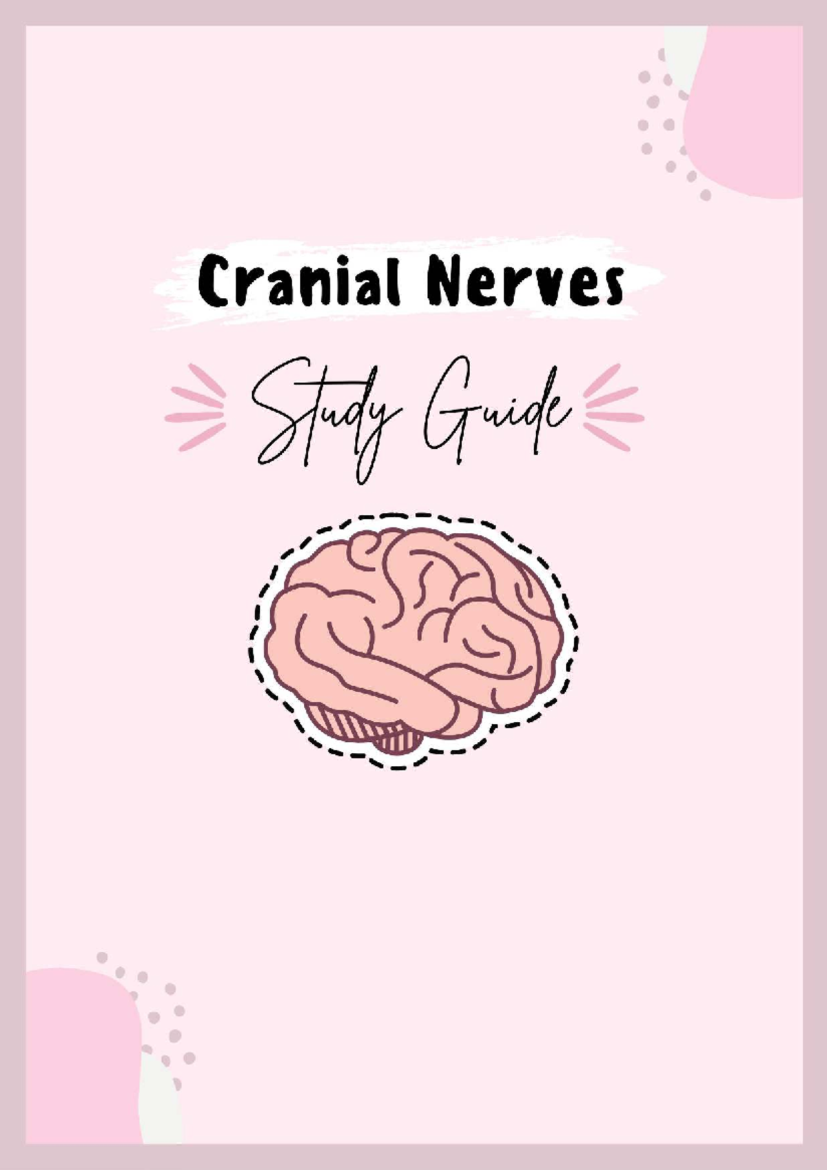 Cranial Nerves Study Guide (Final Exam) - Detailed Review for CNs - Studocu