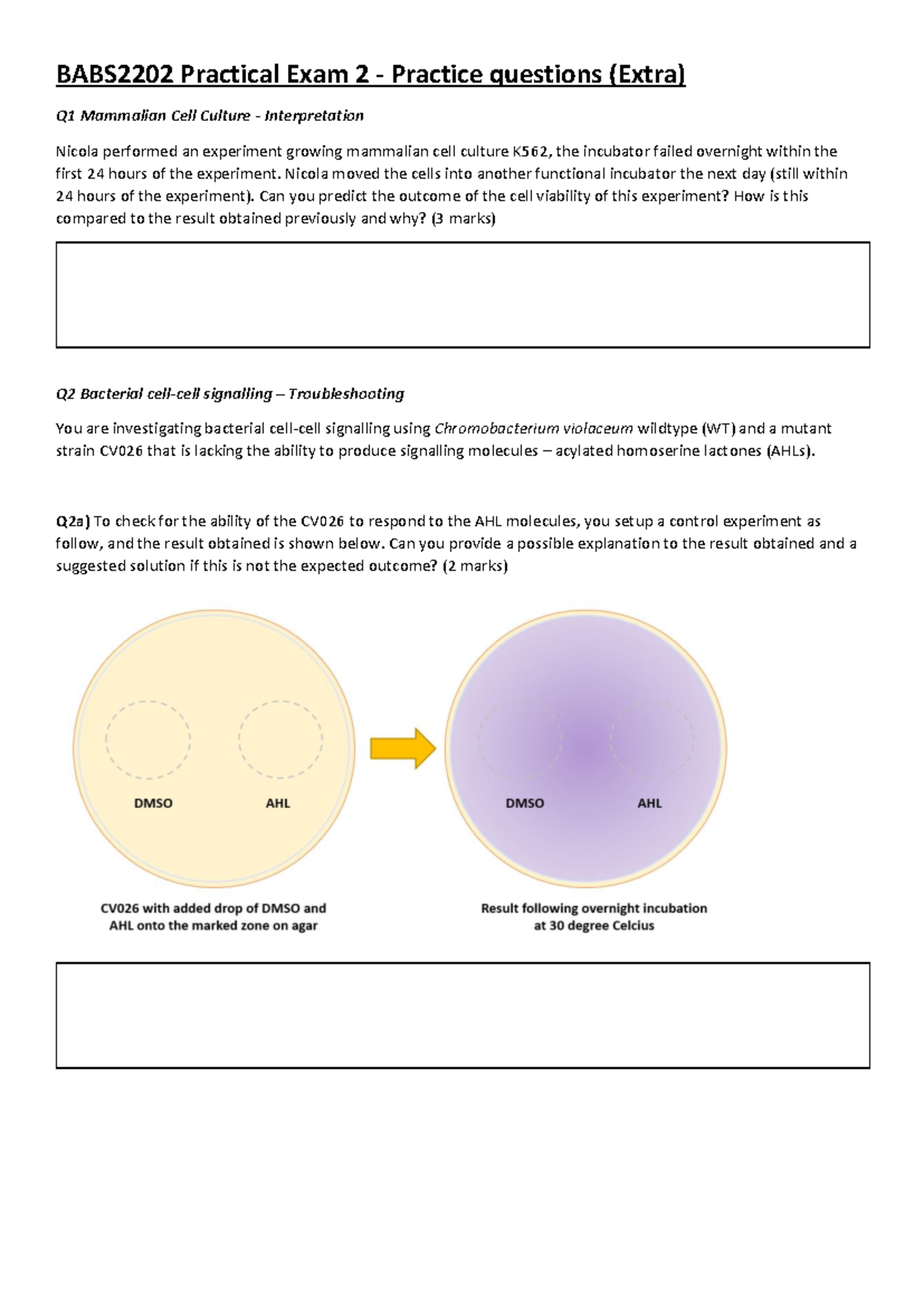 BABS2202 Exam 2 Practice Questions - Extra Preparation Material - Studocu