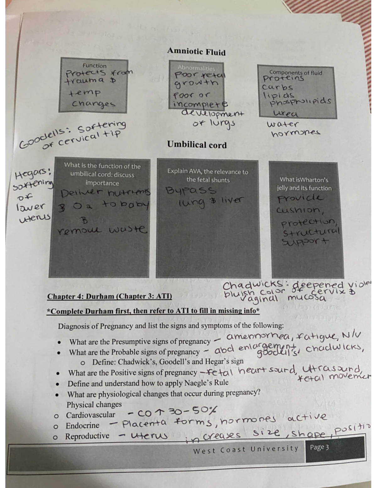 WEEK 6 MEDICATION STUDY NOTES: Comprehensive Guide to Drug Nomenclature ...