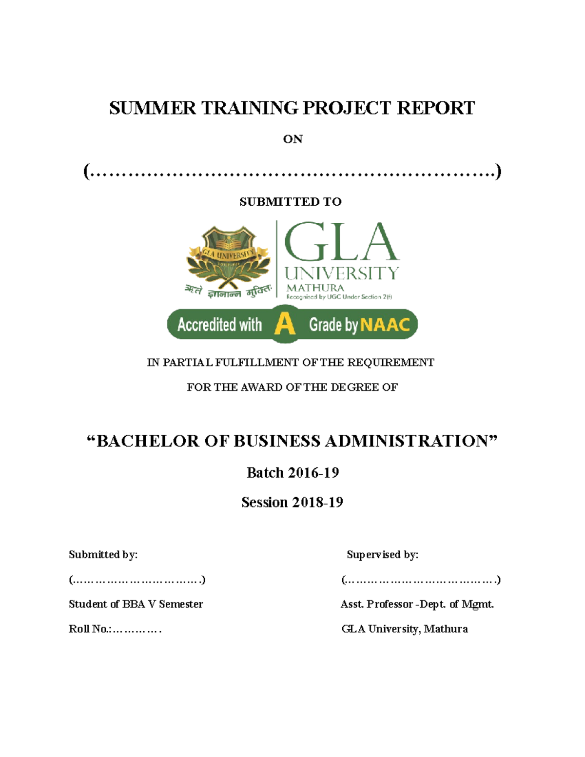 Format for BBA Summer Training Project Report - V Semester - Studocu