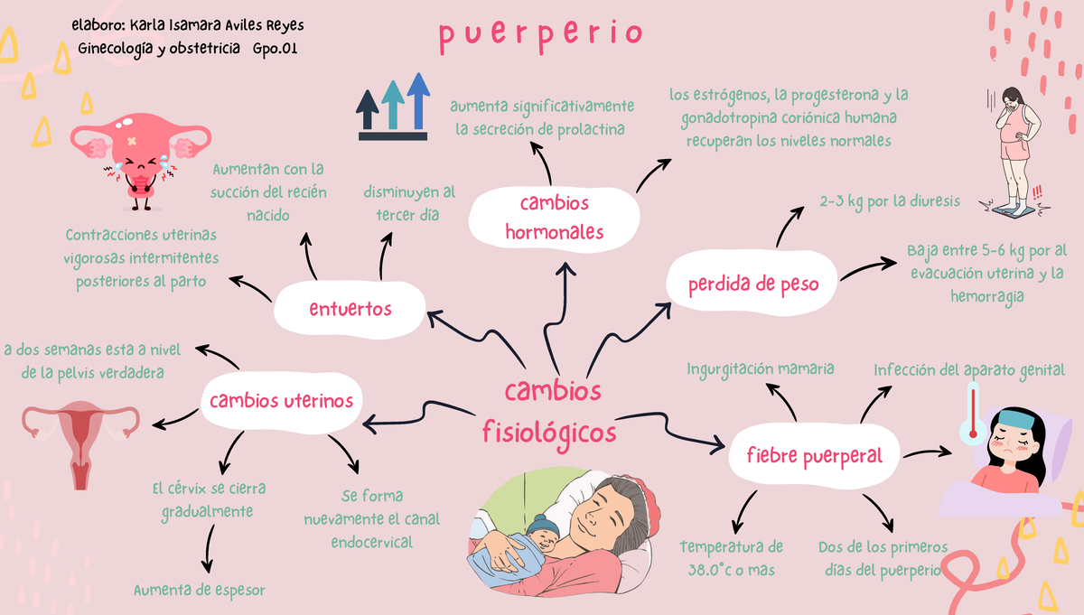 Puerperio - cambios fisiológicos Dos de los primeros días del puerperio ...