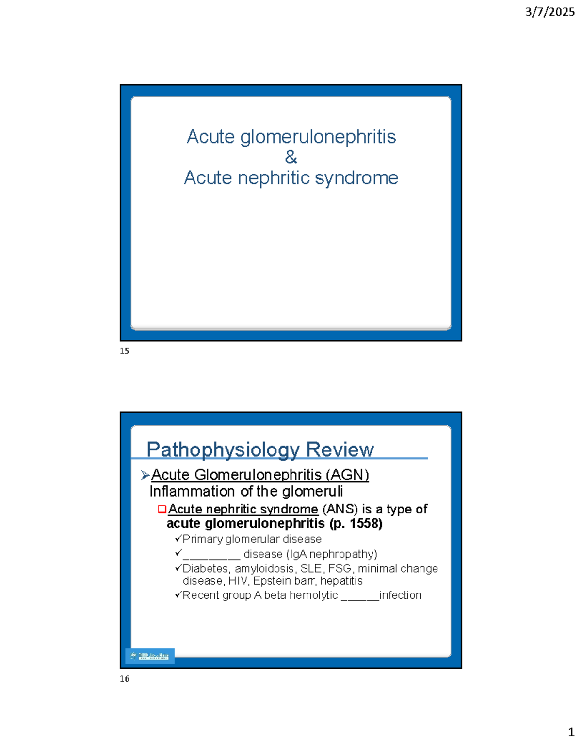 Nursing Management and Pathophysiology of Glomerulonephritis - NURS ...