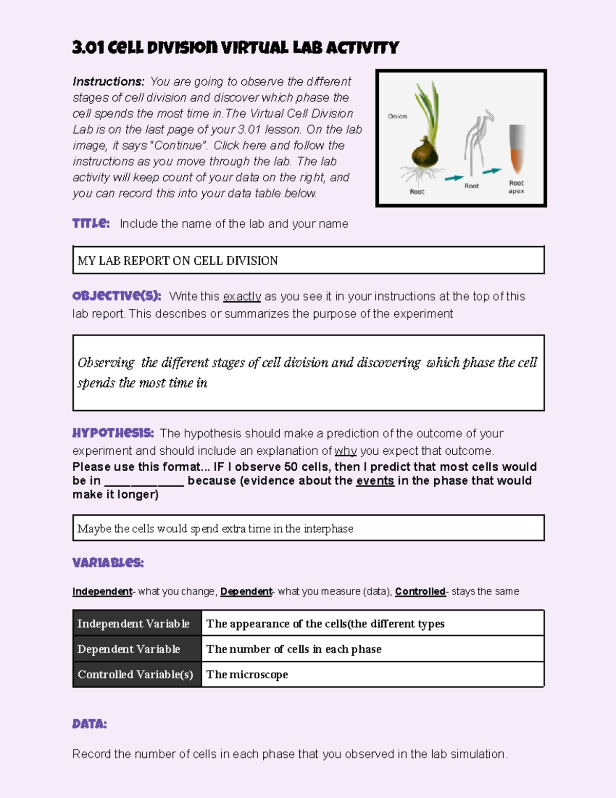 7.03 Assignment - 7 Assignment Template *Note: Please submit