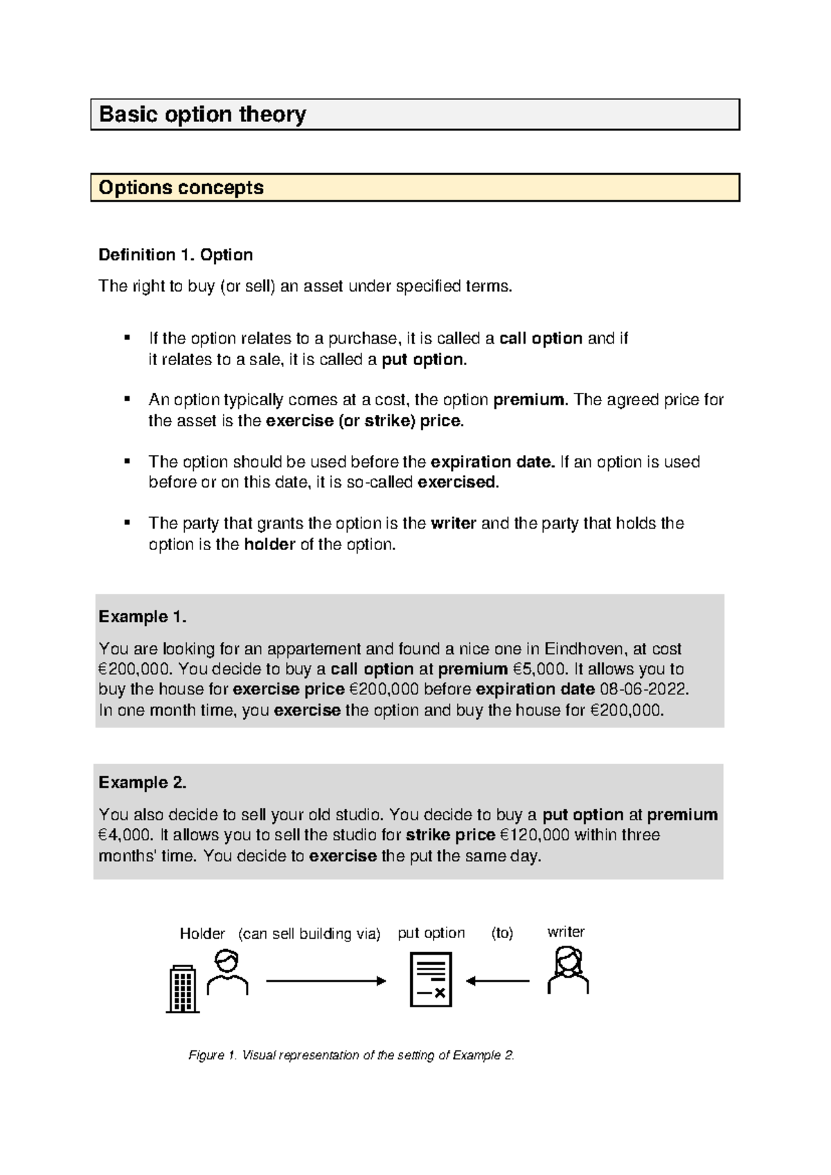 Lecture Notes: Basic Option Theory (FIN 101) - Studeersnel