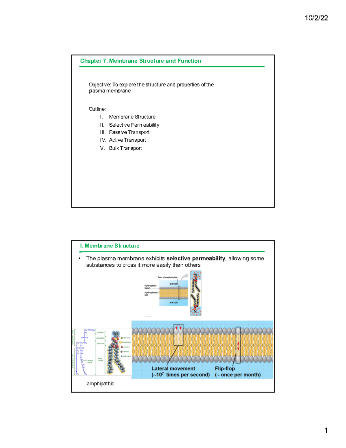 BIO 201_Lecture 6: Plasma Membrane Structure and Function - Chapter 7 ...