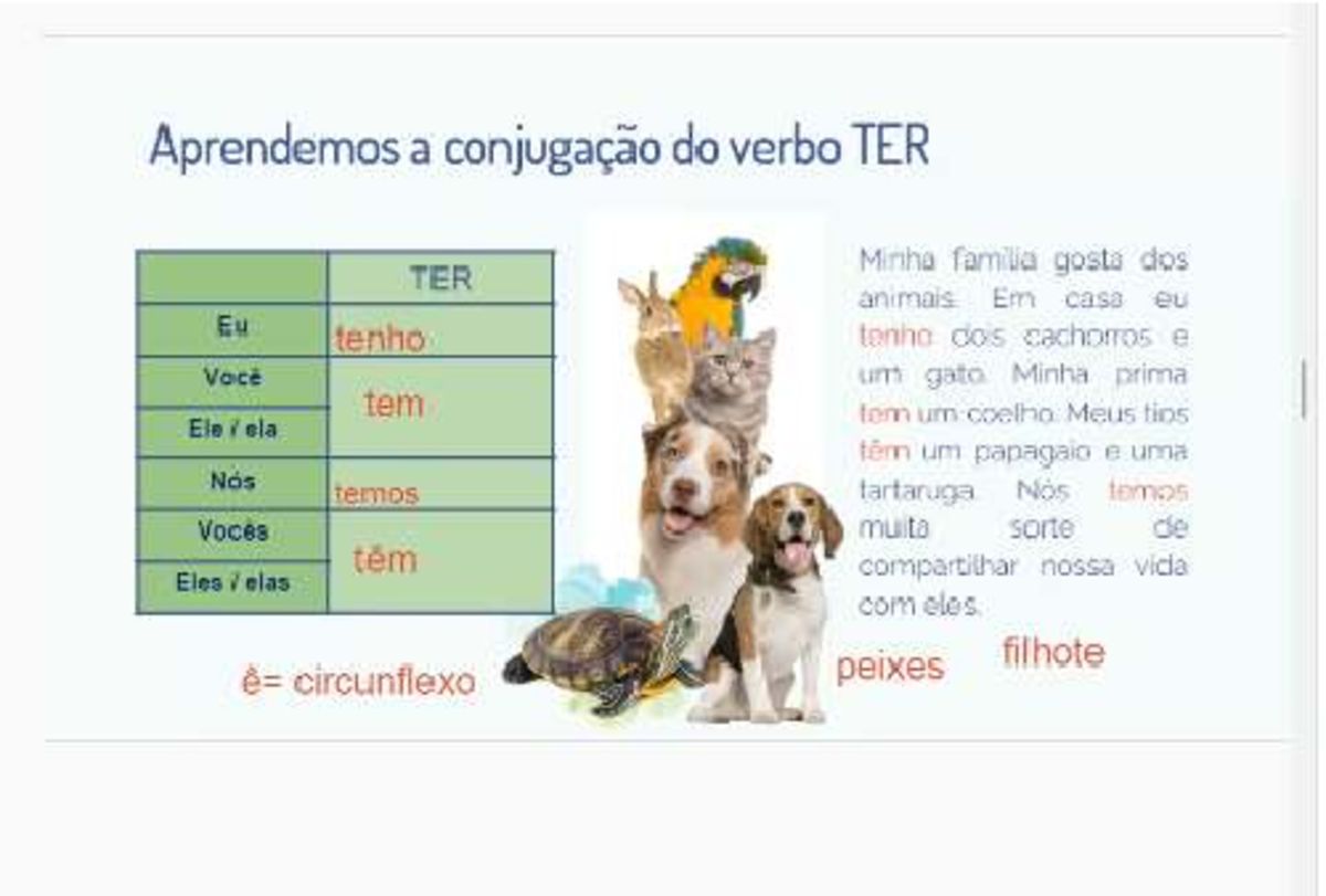 Aprendemos a Conjugação do Verbo TER: Exercícios e Exemplos - Studocu
