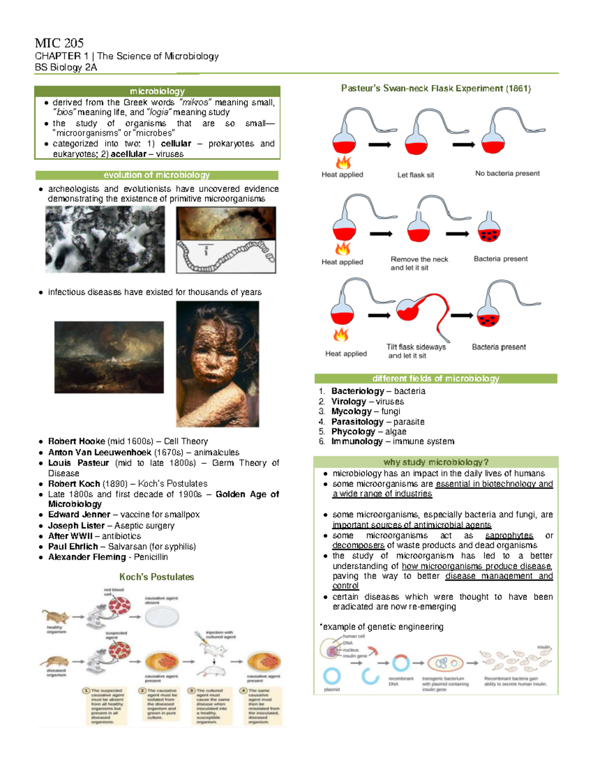Science of Microbiology - Bacteriology – bacteria 2. Virology – viruses ...