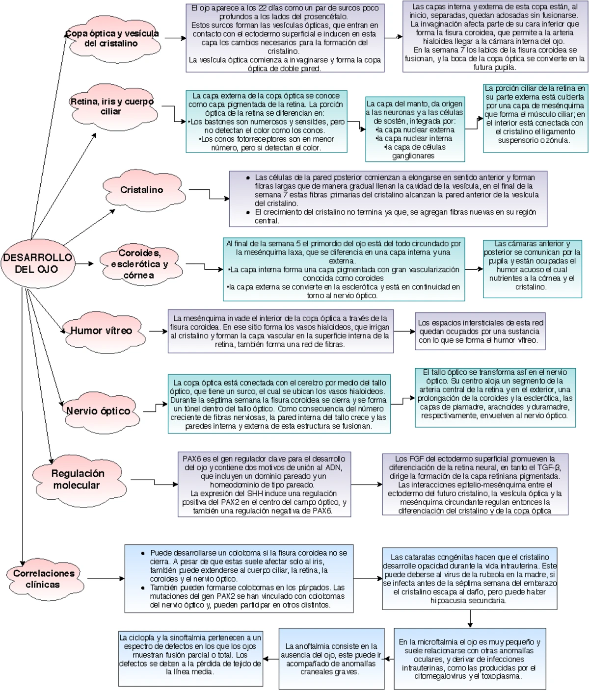 Fisiología De La Visión Esquema Didáctico Fisiología De La Visión La