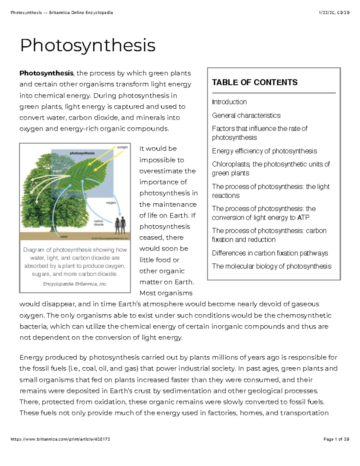 photosynthesis-overview-britannica-encyclopedia-studocu