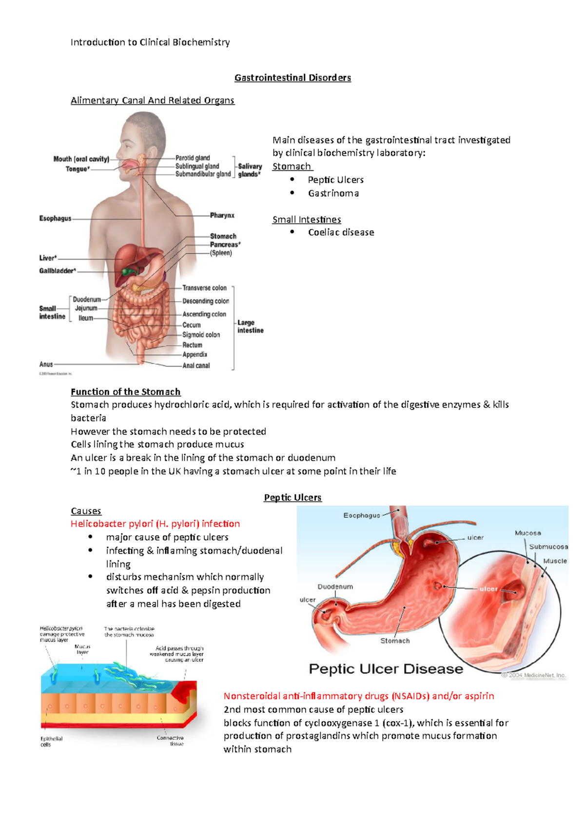 Gastrointestinal Disorders - notes - Gastrointestinal Disorders ...