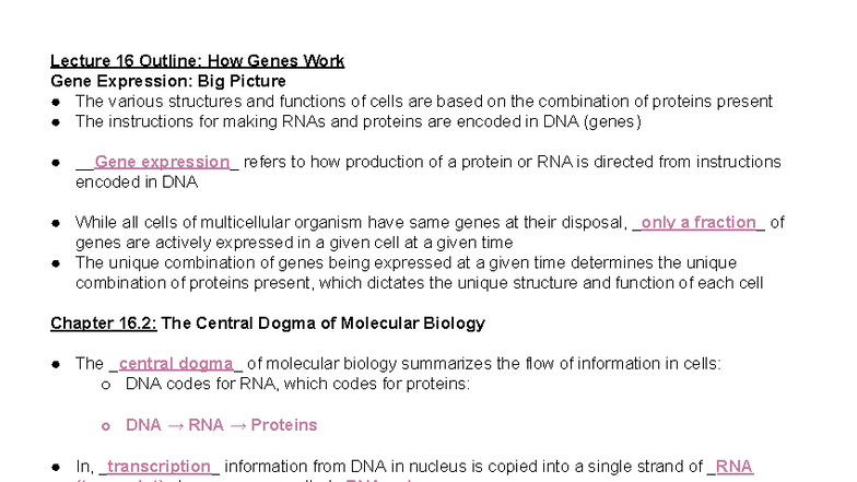 Lecture 16: Gene Expression & The Central Dogma Overview - Studocu