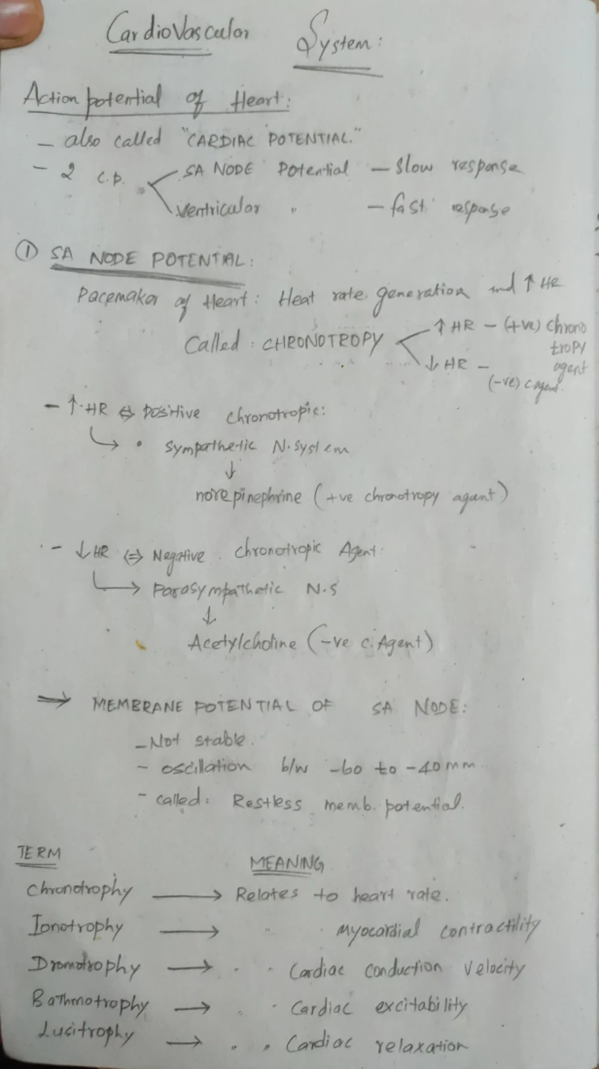 Chapter 11 - Lecture notes from Guyton - Chapter 11: Fundamentals of ...