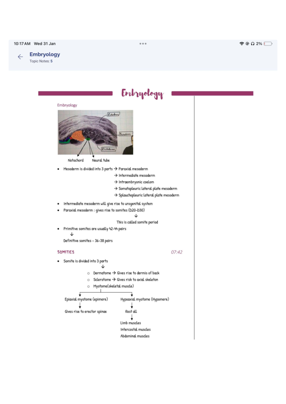 Embryology Topic Notes: 10:177AM Lecture on Mesoderm and Somites - Studocu