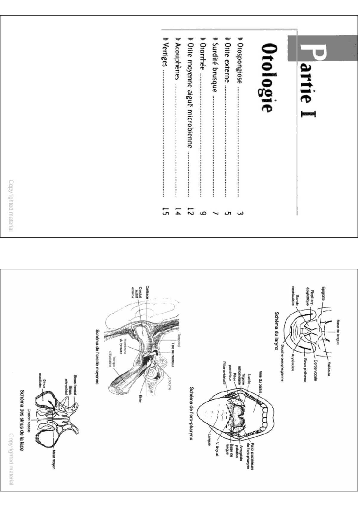 Notes de cours OTO6 - ORL : Physiopathologie et Traitements des ...