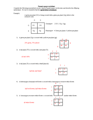 Beetroot cell membrane lab report - IF AMPHIPATHIC MOLECULES COME IN ...