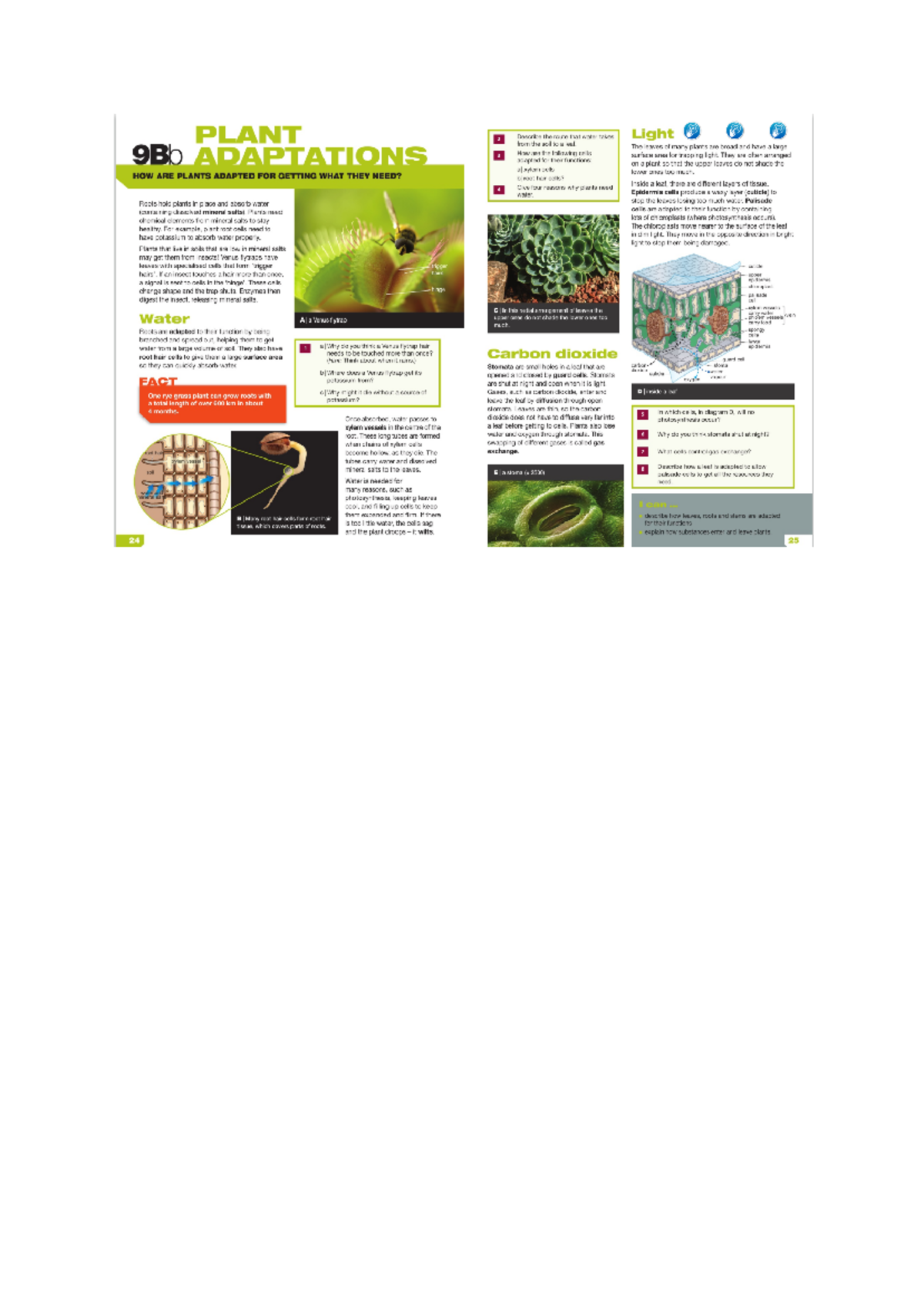 Comprehensive Study Material for Course CF21: Final Exam Review - PLANT ...