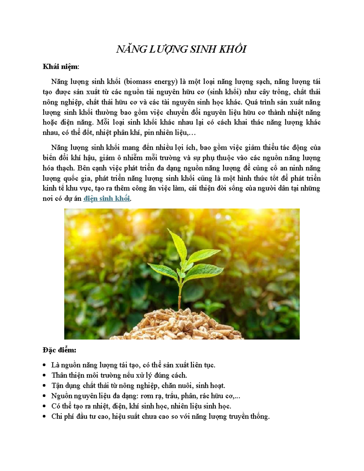 Năng lượng sinh khối (Biomass) - Nguồn Năng Lượng Tương Lai Bền Vững