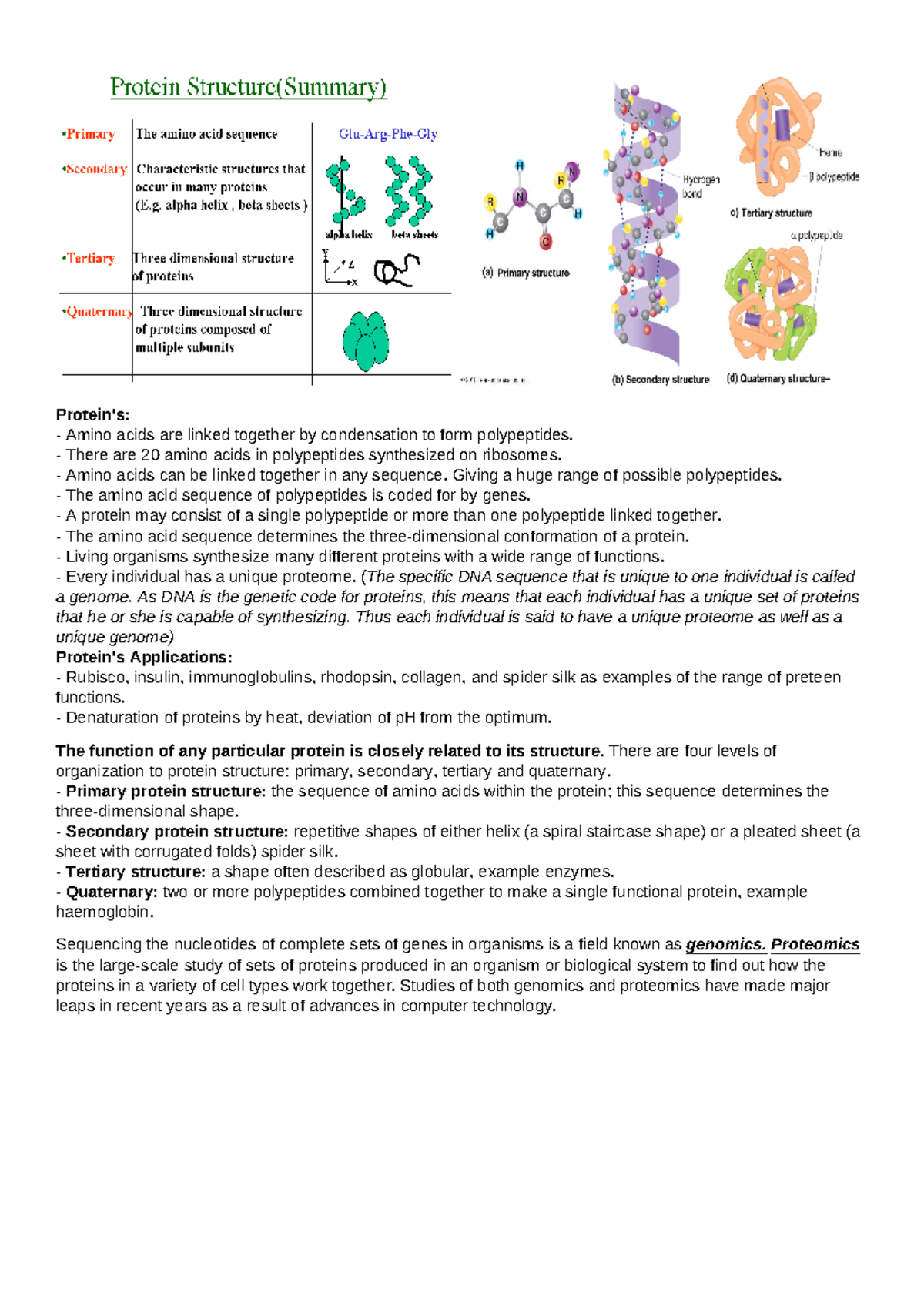 Protein Structure and Function: A Comprehensive Overview (BIO101) - Studocu
