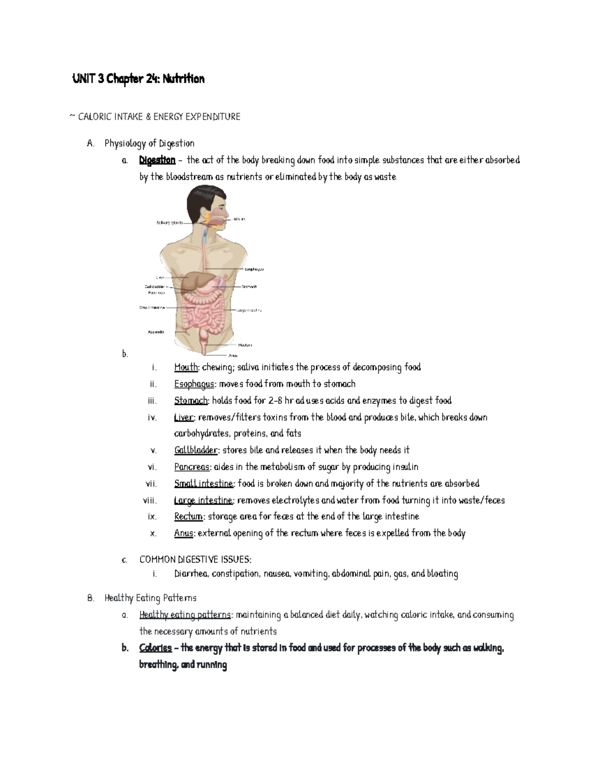 NRS 104 Final Exam Notes Unit 3: Nutrition and Dietary Guidelines - Studocu