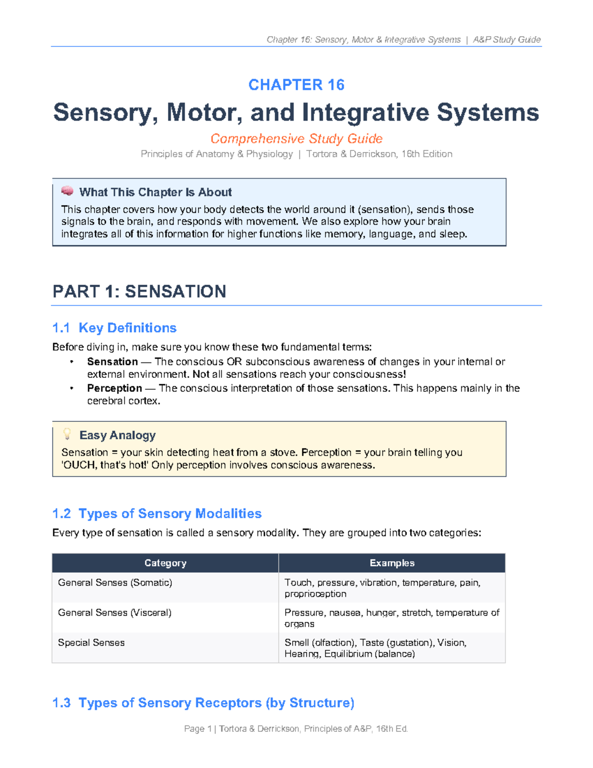 Chapter 16 Study Guide: Sensory, Motor, and Integrative Systems - Studocu