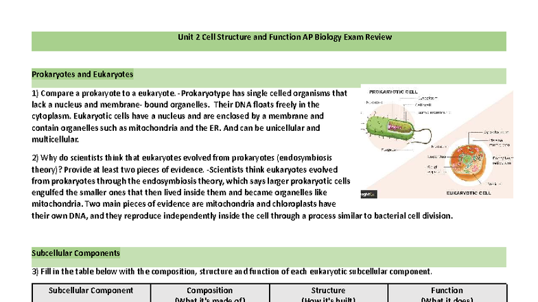 Unit 2 Cell Structure & Function AP Bio Exam Review: Prokaryotes vs ...