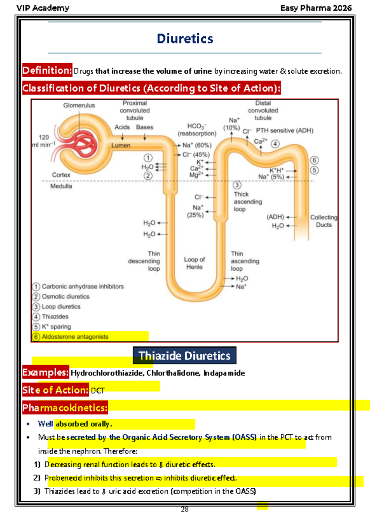 VIP Academy Easy Pharma 2026 Comprehensive Diuretics Notes - Studocu