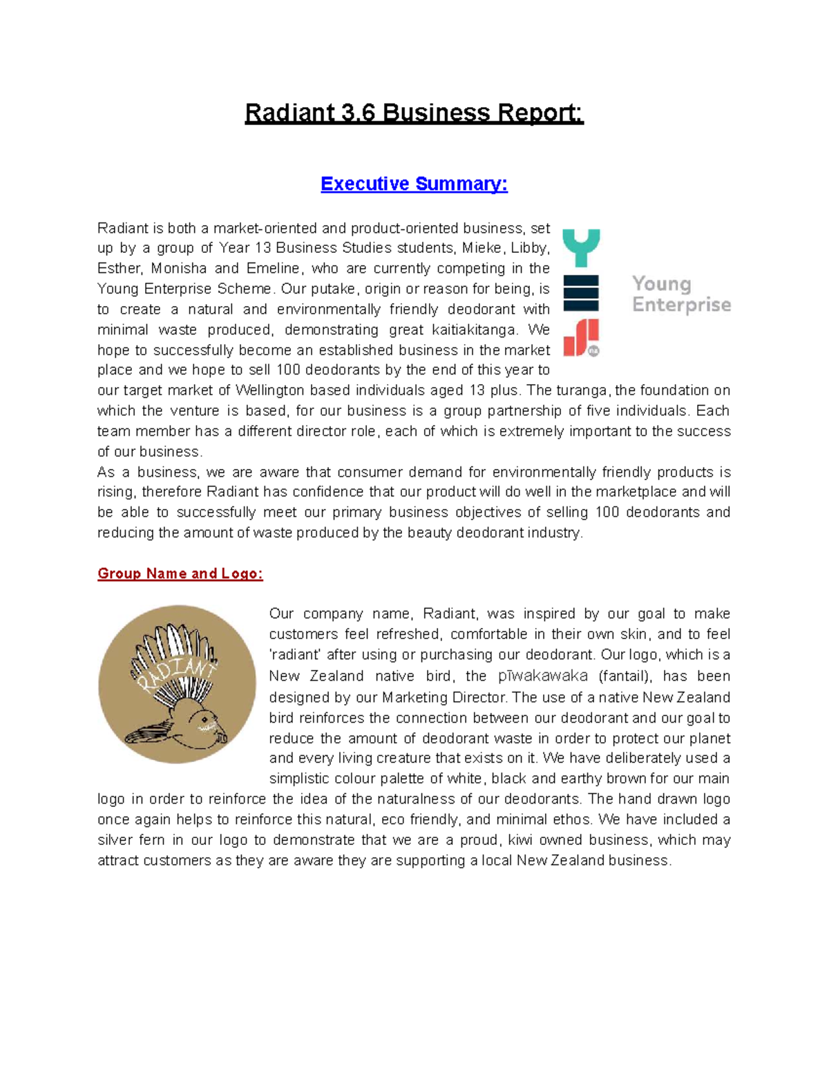 Radiant 3.6 Business Report: Executive Summary for Young Enterprise ...