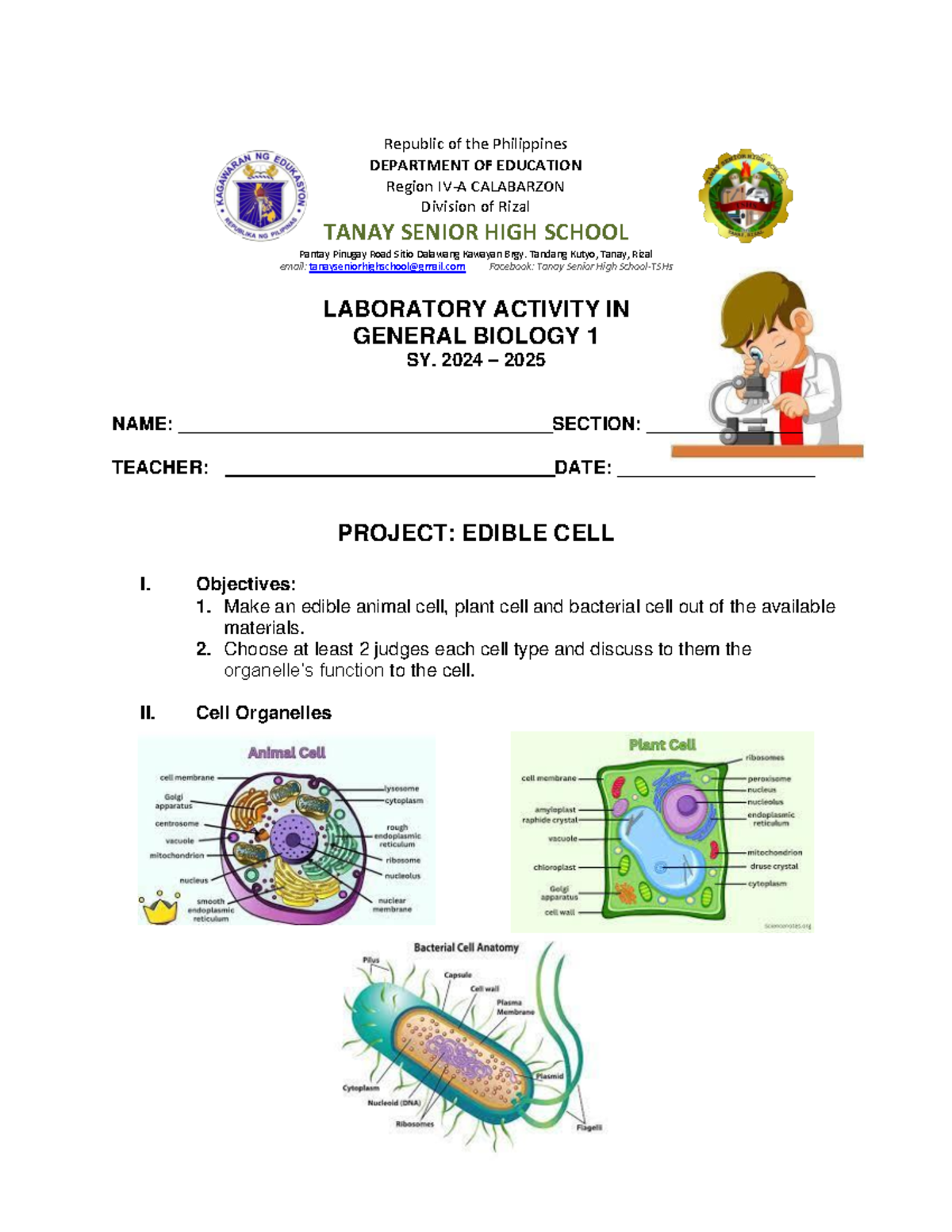 Project- Edible-CELL - creating cell parts using food - Republic of the ...