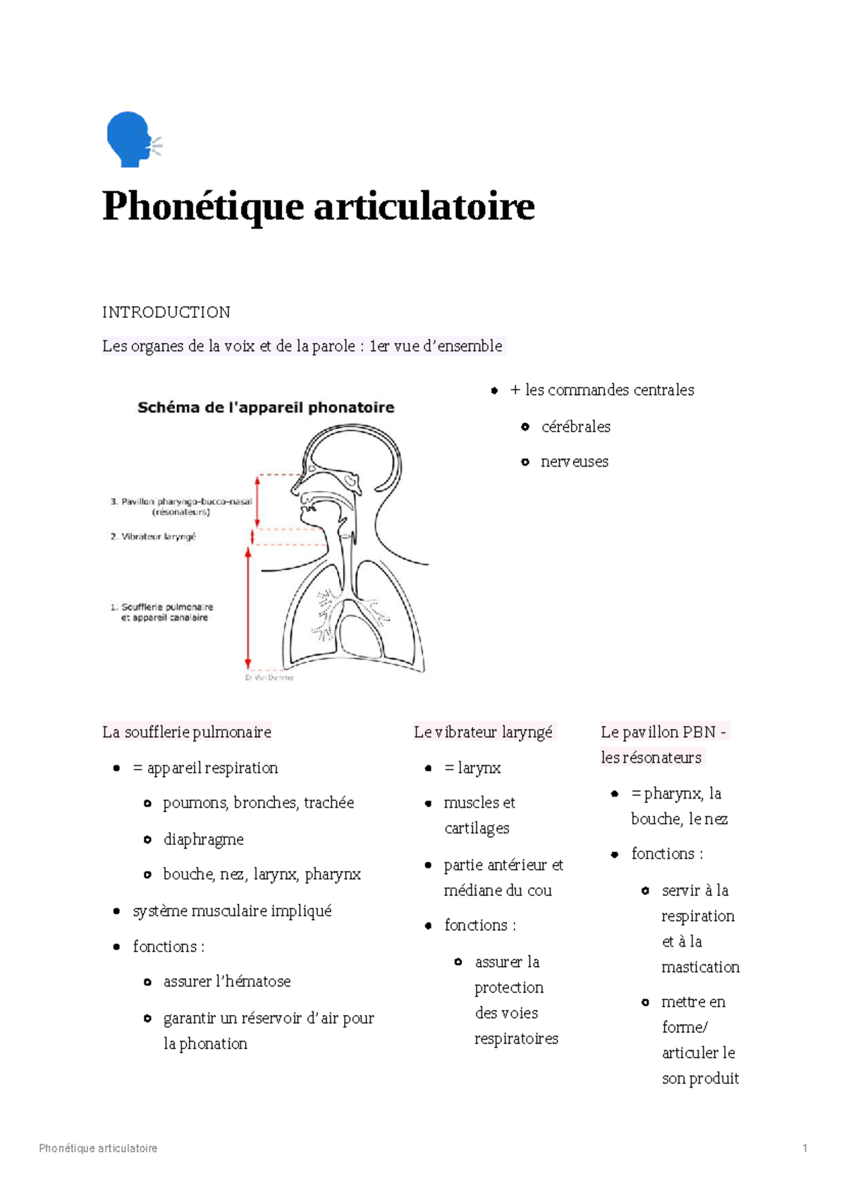 Phonétique Articulatoire : Introduction aux Organes de la Voix et de la ...